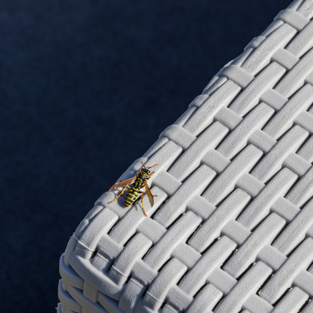 Комплект из двух кресел Royal Family LANA LUX светло-серый 5